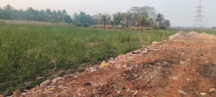 undefined, amtala  2160 Sq.Ft. Plot In Amtala Kolkata 8539036