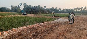 Plot Area in  Plot at Amtala – for Sale