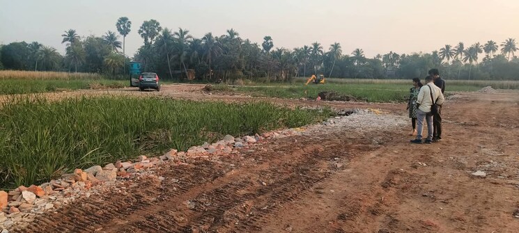 undefined, amtala  2160 Sq.Ft. Plot In Amtala Kolkata 8539036