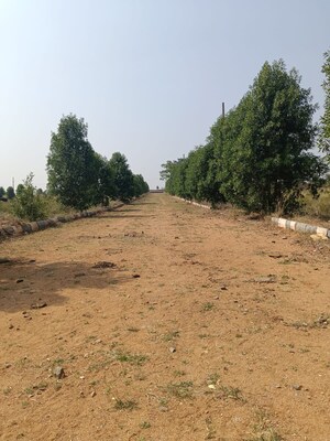 Plot Area in  Plot at Kadthal – for Sale