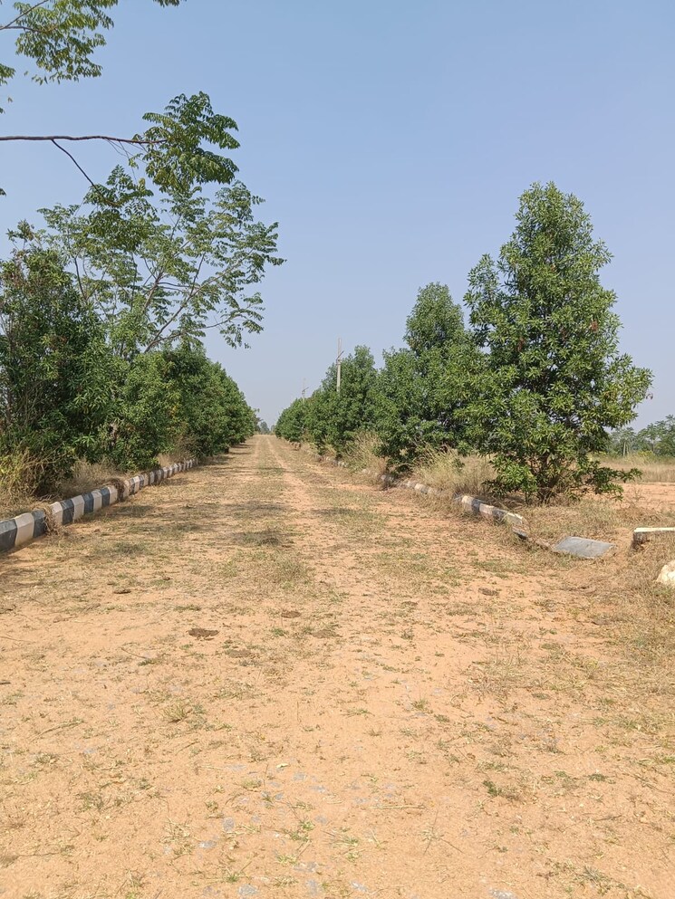 undefined, kadthal  200 Sq.Yd. Plot In Kadthal Hyderabad 8539344