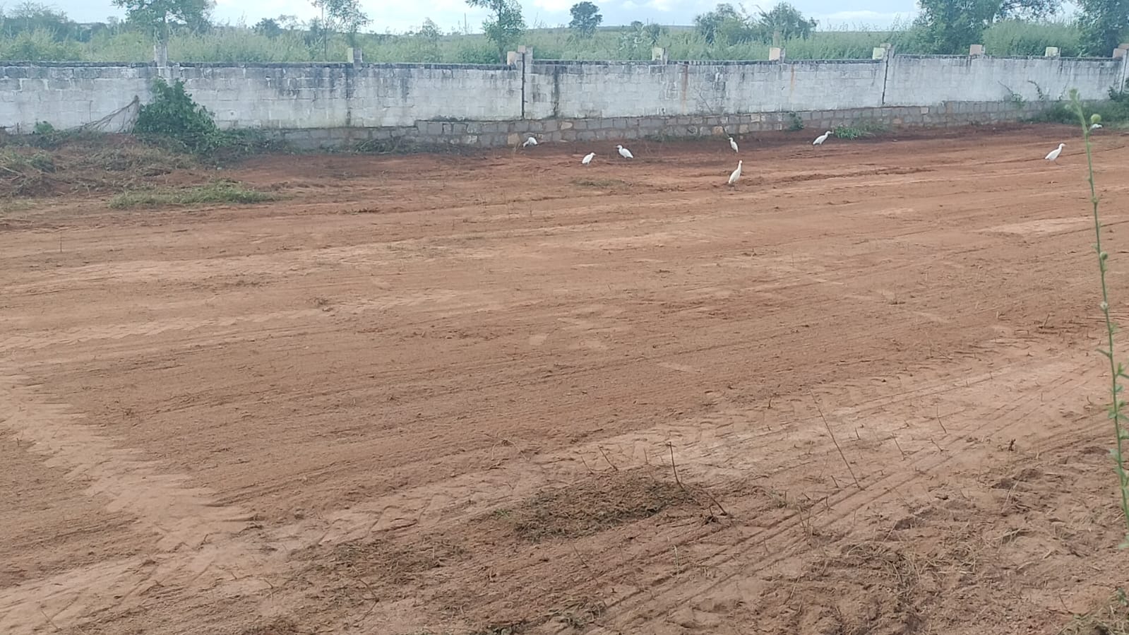 Plot For Sale in Little Kingdom 