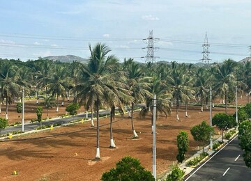  Plot For Sale in Cherpu