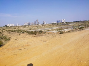 Plot Area in  Plot at Sector 151 – for Sale