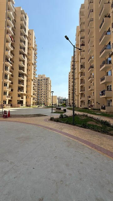 1 BHK Apartment – Exterior View View at AVL 36 Gurgaon, Sector 36 - for Rent