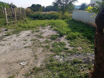  Plot For Sale in Bangalore City Municipal Corporation Layout