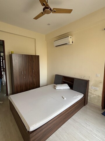3 BHK Builder Floor For Rent in Chattarpur
