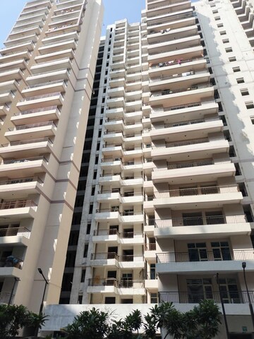 2 BHK Apartment For Rent in GLS Arawali Homes, Sohna Sector 4