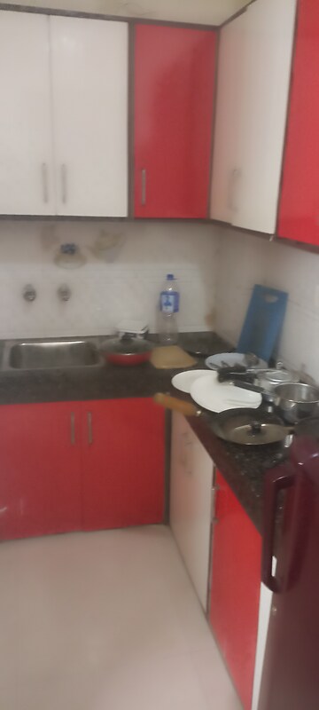 1 RK Builder Floor For Rent in SS 100, Sector 49