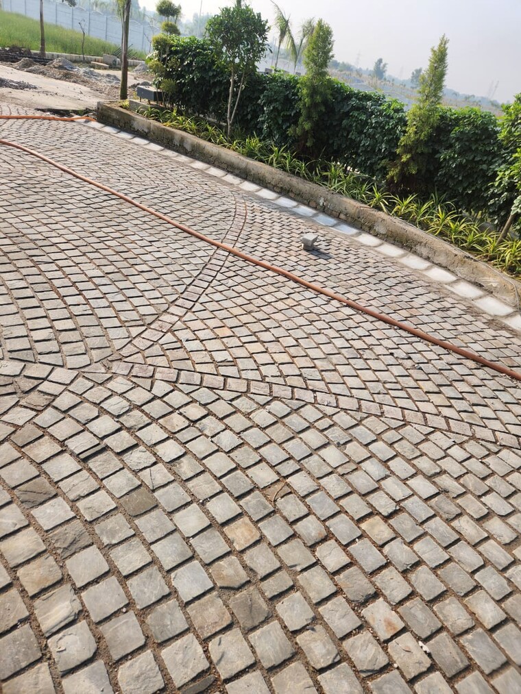 Exterior View, barha  1006 Sq.Ft. Plot In Barha Lucknow 8541706