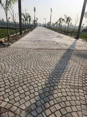  Plot For Sale in Barha