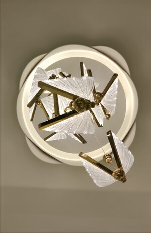 Furnished Amenities in 4 BHK Villa at Omaxe Silver Birch, North Mullanpur – for Sale