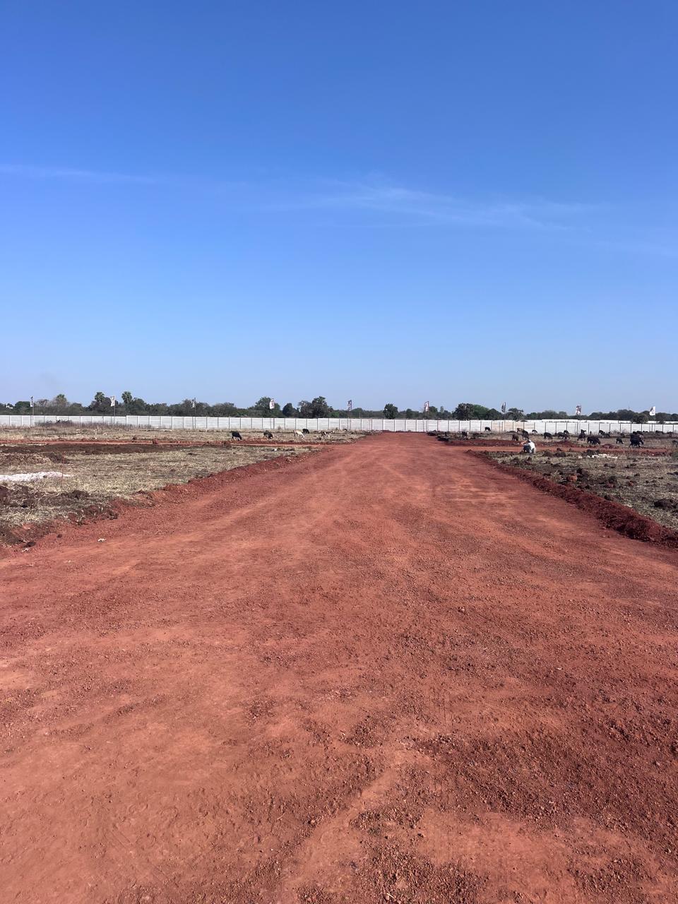 Plot For Sale in Myron Dynasty At 111 Acer