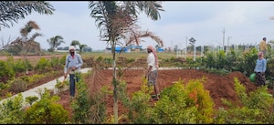  Plot – Garden View at Dilwarguda - for Sale