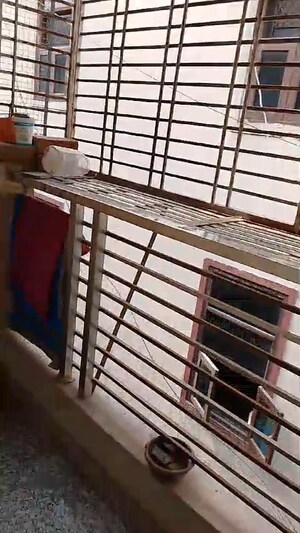 Balcony in 1 BHK Builder Floor at Mehrauli – for Sale