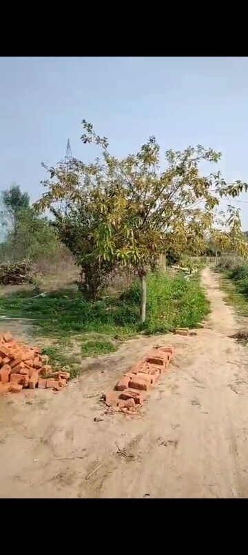 Plot Area in  Plot at Sector 12 Greater Noida – for Sale