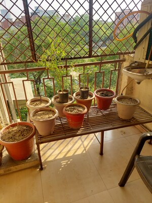 Balcony in 3 BHK Apartment at Vasundhara Enclave – for Sale