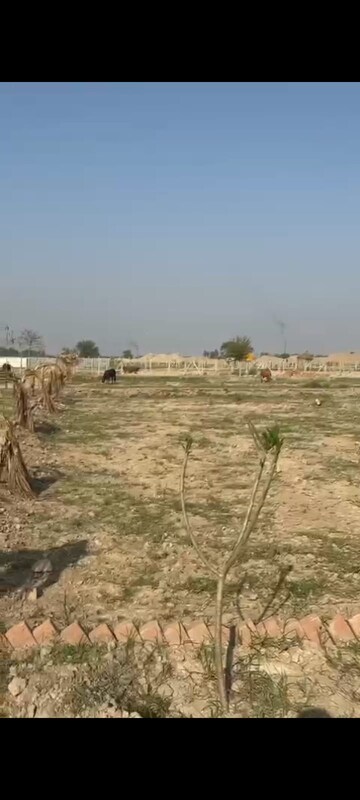 Plot Area in  Plot at Ashoka Niketan, Jewar – for Sale