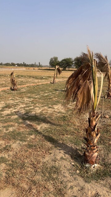 Plot Area in  Plot at Ashoka Niketan, Jewar – for Sale