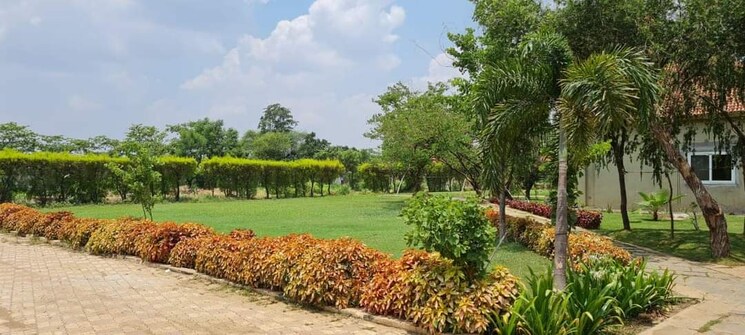 Garden, dhamtri road 3 Bedroom 7842 Sq.Ft. Villa In Dhamtri Road Raipur 8543165