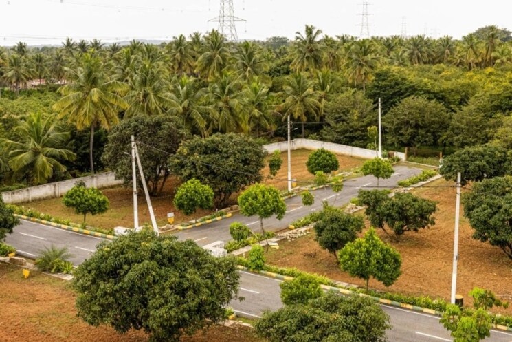 Garden, jigani  2400 Sq.Ft. Plot In Jigani Bangalore 8543190