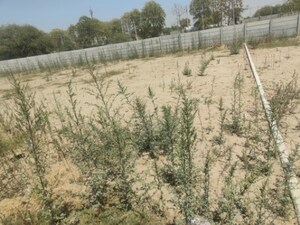 Plot Area in  Plot at BPTP Park Central, Sector 85 – for Sale