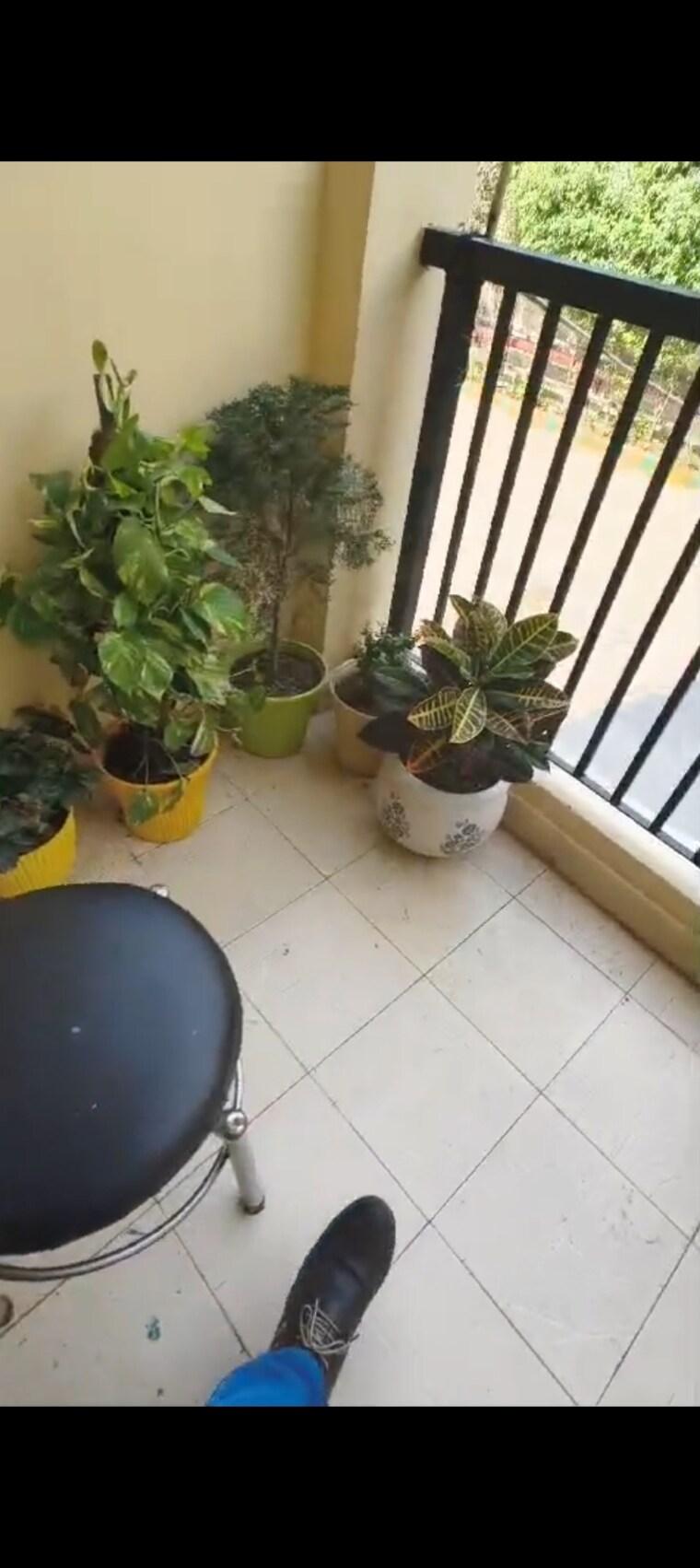 Balcony, svp-gulmohur-garden 2 Bedroom 712 Sq.Ft. Apartment In Raj Nagar Extension Ghaziabad 8543348