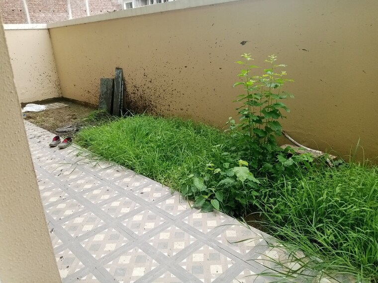 Balcony, indiabulls-centrum-park 2.5 Bedroom 1681 Sq.Ft. Apartment In Sector 103 Gurgaon 8543381