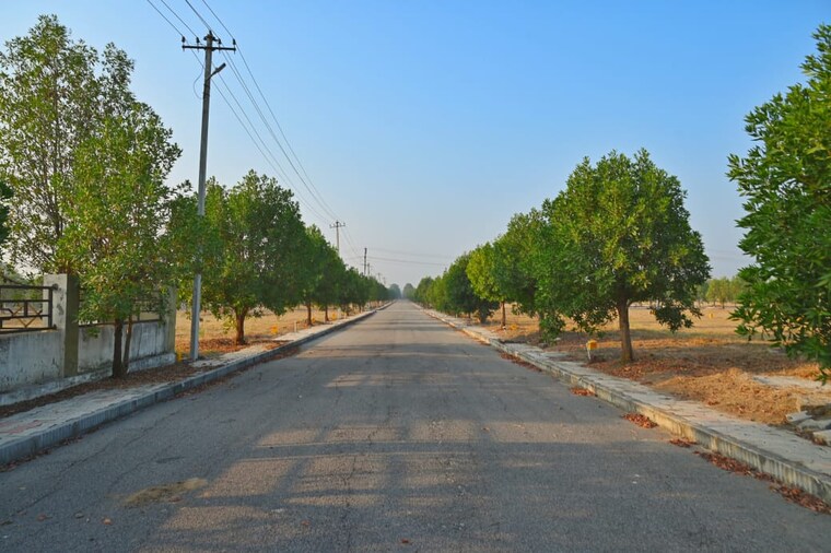 Exterior View, peram-signature-park  167 Sq.Yd. Plot In Girmapur Hyderabad 8543884