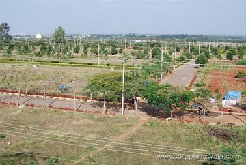  Plot For Sale in Amolik Aster Woods, Sector 98