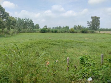 Plot Area in  Plot at Xu Iii Greater Noida – for Sale