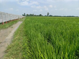 Plot Area in  Plot at Xu Iii Greater Noida – for Sale