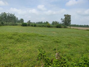 Plot Area in  Plot at Xu Iii Greater Noida – for Sale