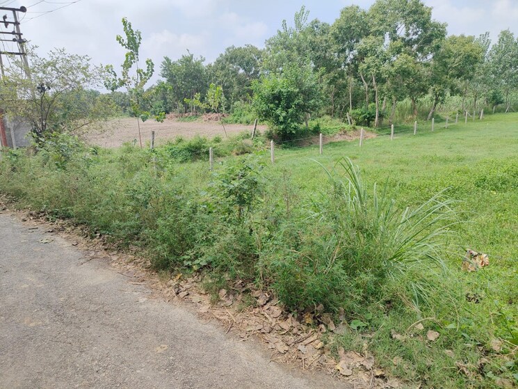 undefined, xu iii greater noida  200 Sq.Mt. Plot In Xu Iii Greater Noida Greater Noida 8545020