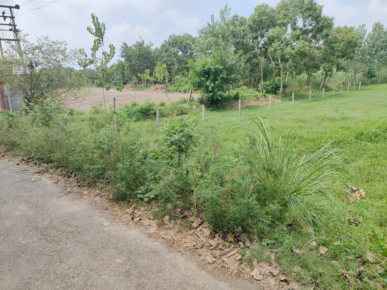 undefined, xu iii greater noida  200 Sq.Mt. Plot In Xu Iii Greater Noida Greater Noida 8545020