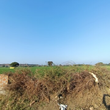 Plot Area in  Plot at Ujjain Road – for Sale