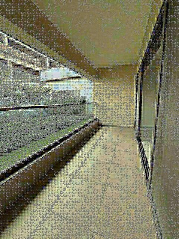 2 BHK Apartment For Sale in Magarpatta Nova, Mundhwa