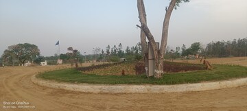 Plot Area in  Plot at Manduwadih – for Sale