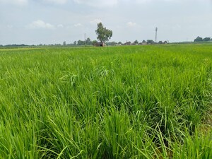 Plot Area in  Plot at Xu Iii Greater Noida – for Sale