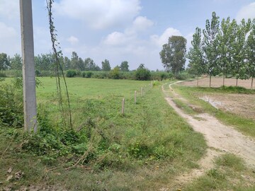 Plot Area in  Plot at Xu Iii Greater Noida – for Sale