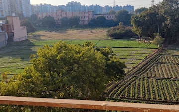 Plot For Sale in Sector 98