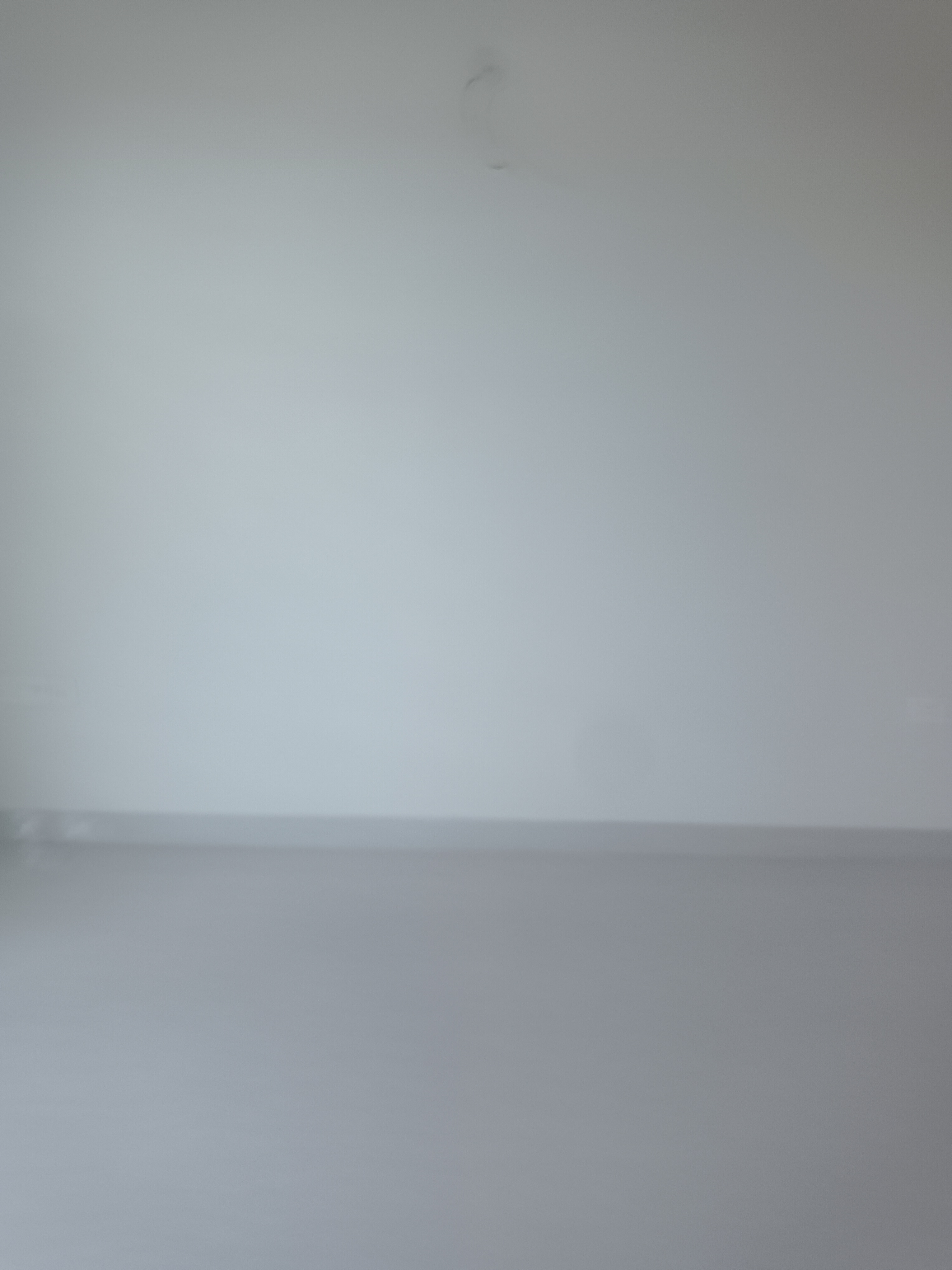 2 BHK + Pooja Room Builder Floor For Rent in Sector 10A