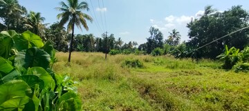  Land For Sale in Viyyur