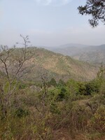 240 Sq.Yd. Plot in Tiger Trail 