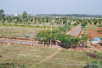  Plot For Sale in Sector 98