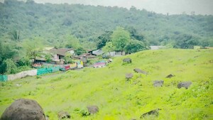  Plot – Exterior View View at Ranjanpada - for Sale