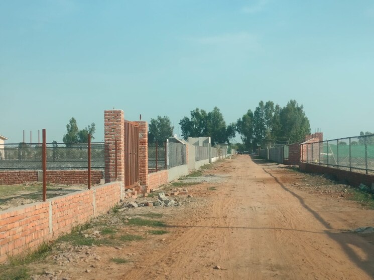 Exterior View, asdullapur  151 Sq.Yd. Plot In Asdullapur Noida 8546796