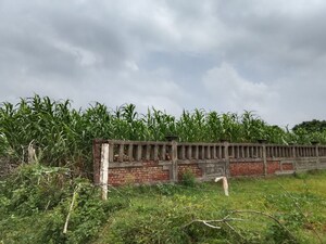 Plot Area in  Plot at Mu 2 Greater Noida – for Sale