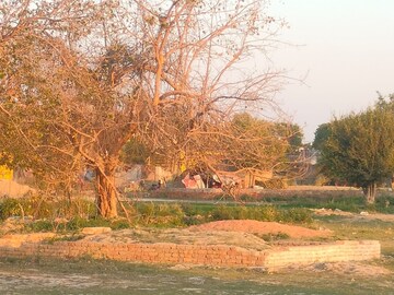 Plot Area in  Plot at Sector 167 – for Sale