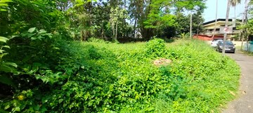  Plot For Sale in Avenue Road